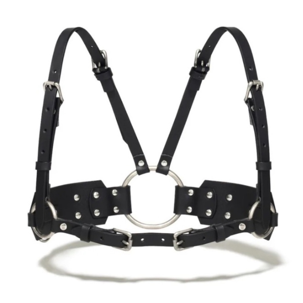 Ardeo Studios Nickel high waisted harness- size XS/S